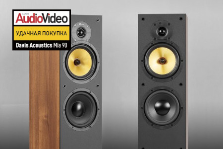 Акустические системы Davis Acoustics HERA 150 — Davis Acoustics